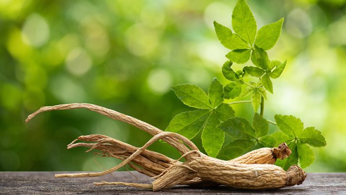 Image du Ginseng Panax